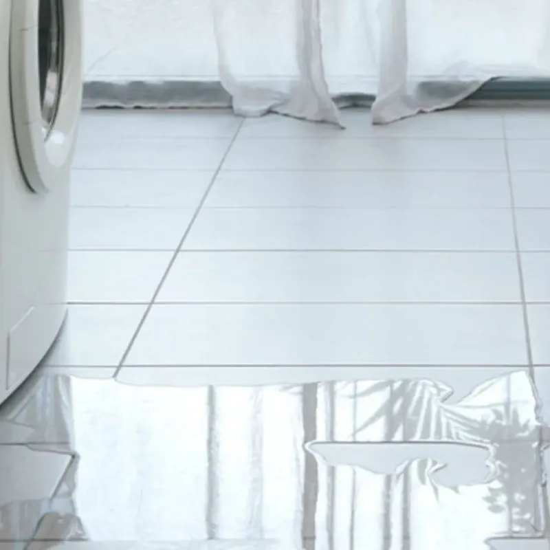 Appliance Leak Cleanup in Coalinga, CA