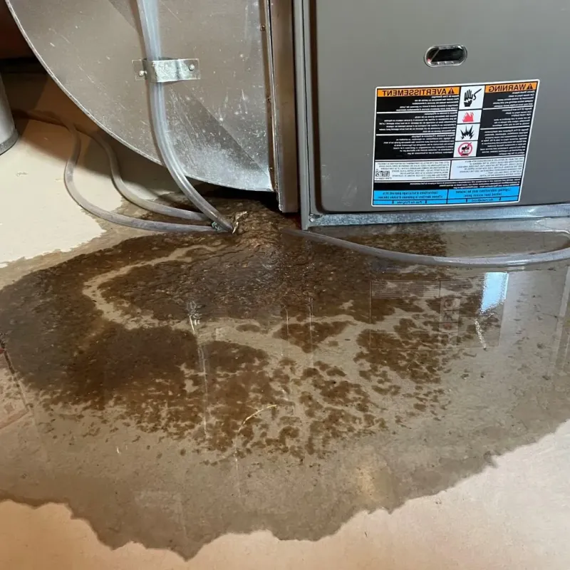 Pipe Burst and Leak Restoration in Coalinga, CA