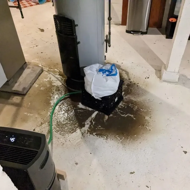 Sewage Backup Cleanup Service in Coalinga, CA